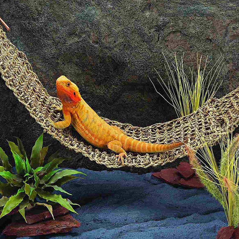 Gecko Lighting & Decor - 1Pcs Natural Sea Grass Lizard Hammock
