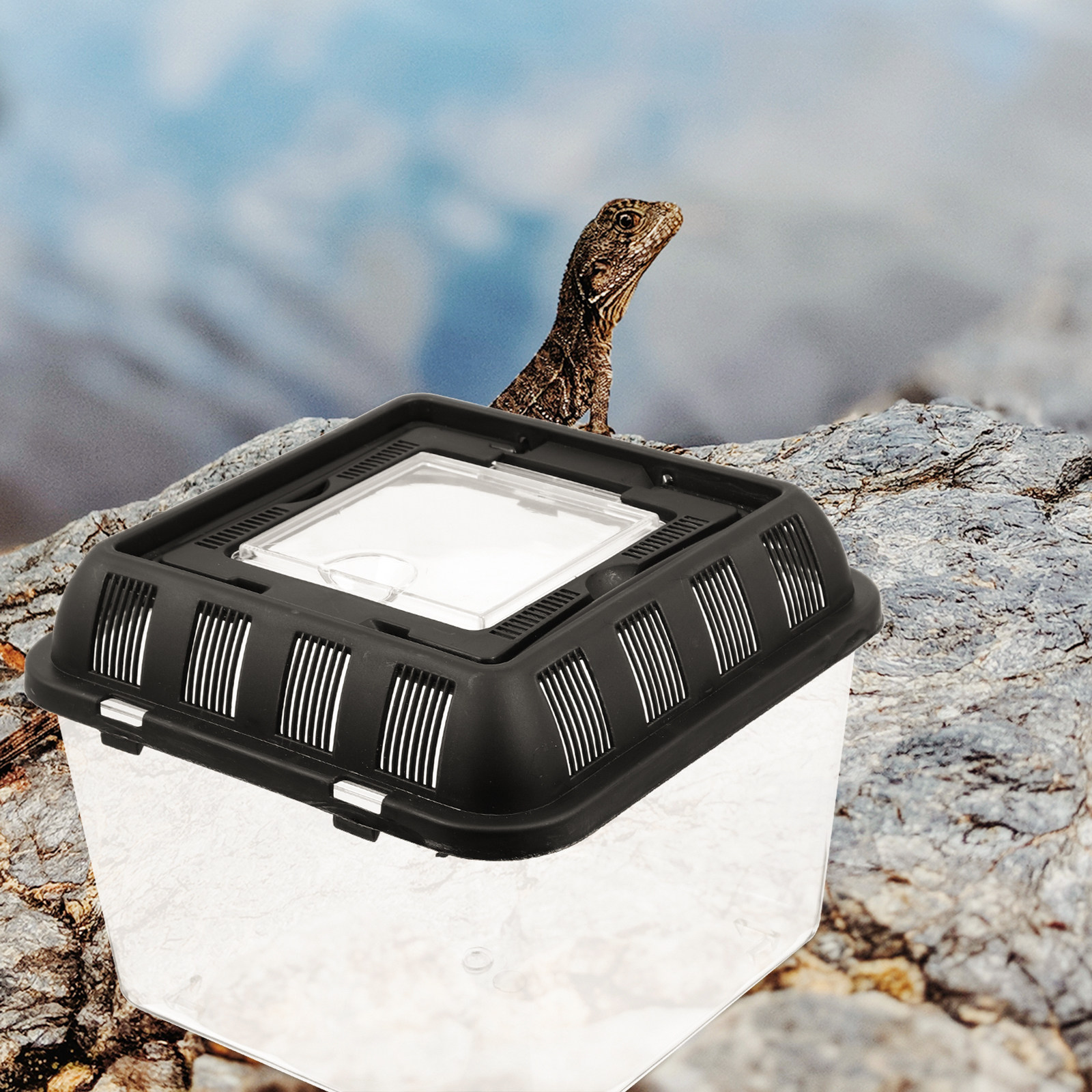 Gecko Lighting & Decor - Professional Reptile Breeding Box Transparent Light