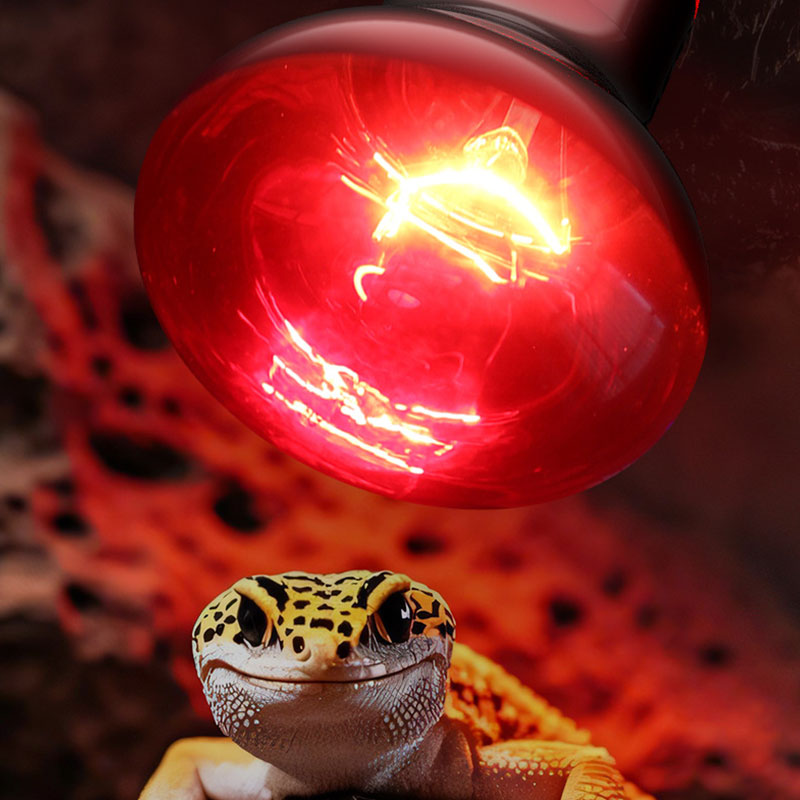 Reptile Heat Lamp 100V/220V In - Gecko Lighting & Decor reseña y precio