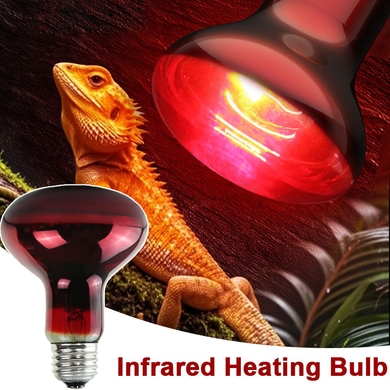 Reptile Heat Lamp 100V/220V In - Gecko Lighting & Decor reseña y precio
