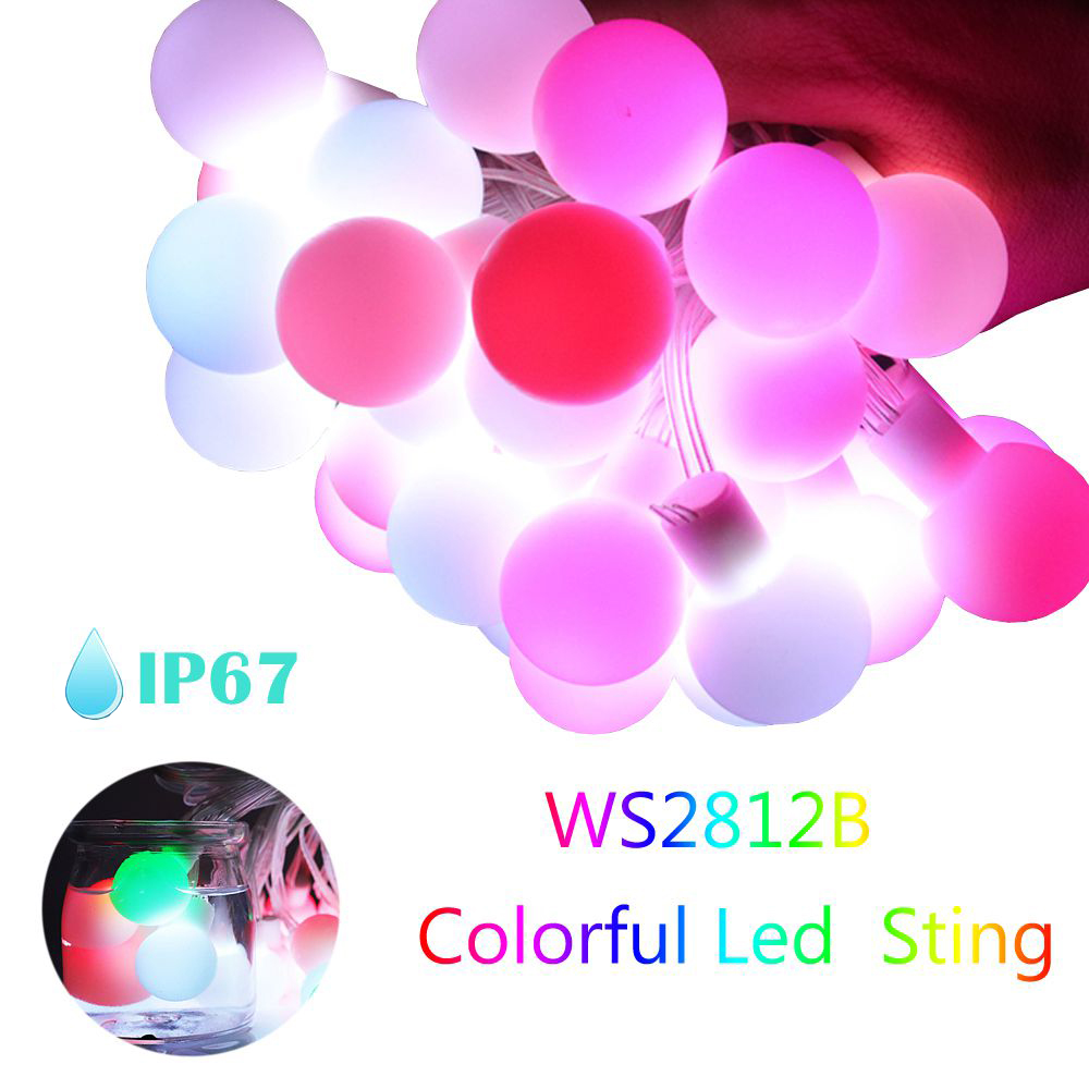 WS2812b LED Round Ball String  - Lighting Decor And More reseña y precio
