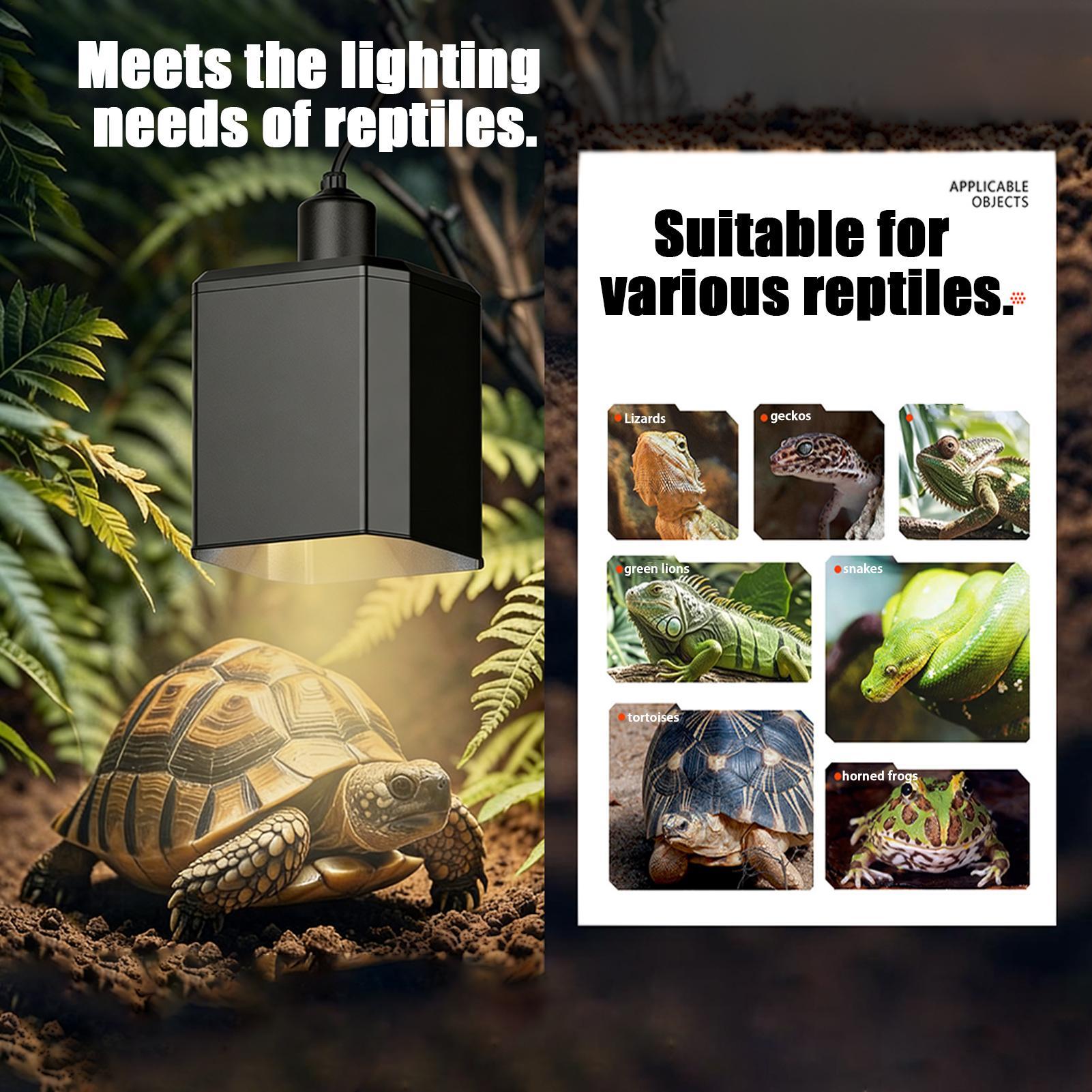 Reptile Heat Lamp Cover Reptil - Gecko Lighting & Decor reseña y precio