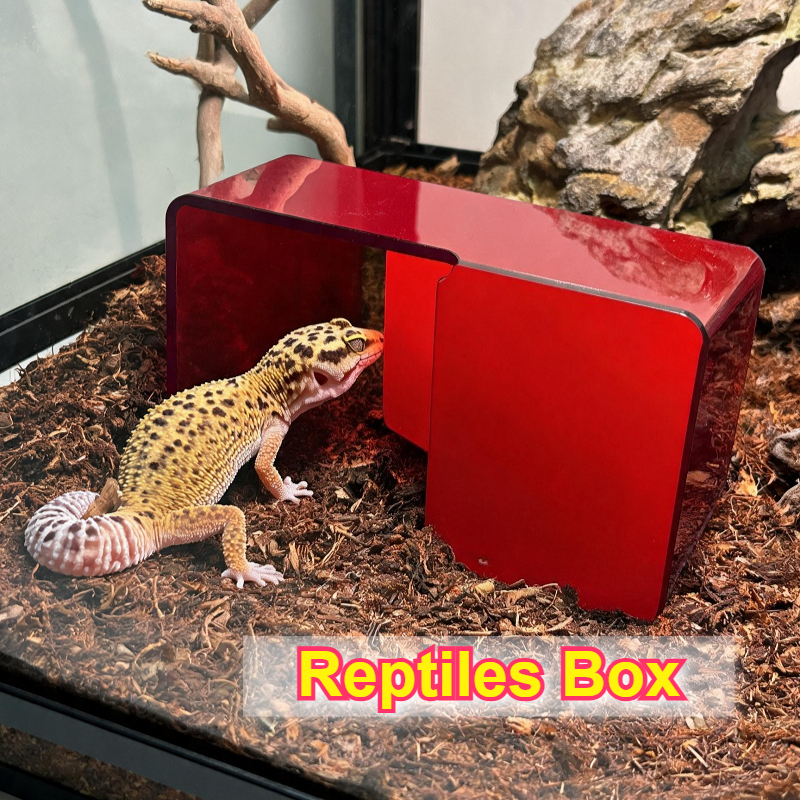 Red Acrylic Reptile Box Habita - Gecko Lighting & Decor reseña y precio