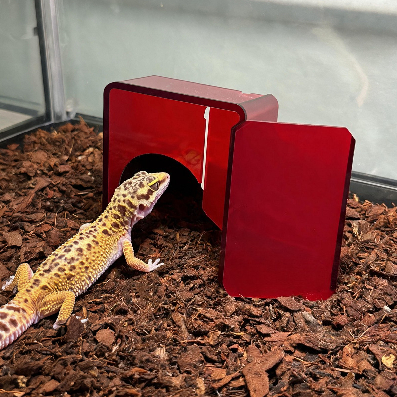 Red Acrylic Reptile Box Habita - Gecko Lighting & Decor reseña y precio