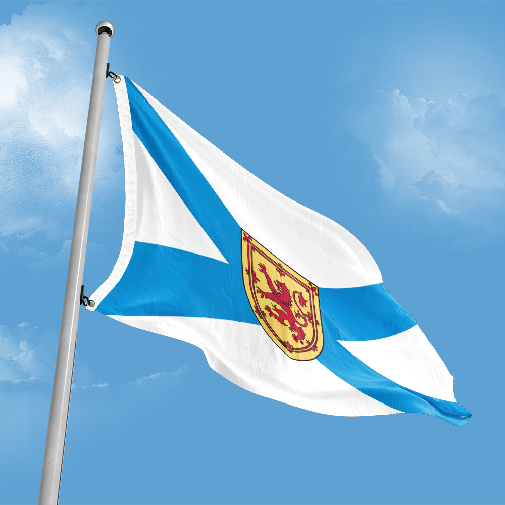Canada Flag of Nova Scotia 3ft - Nova Decor & Lighting Juletrelys reseña y precio