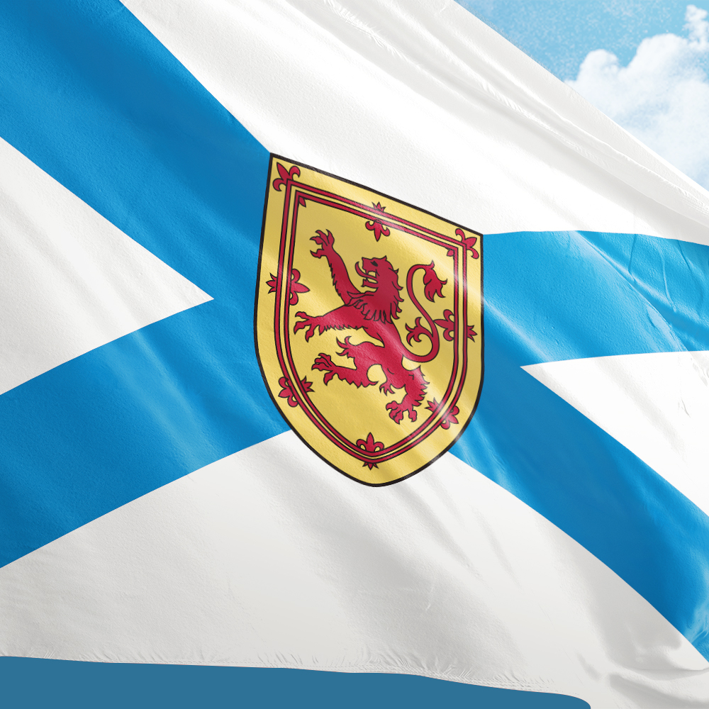 Canada Flag of Nova Scotia 3ft - Nova Decor & Lighting Juletrelys reseña y precio