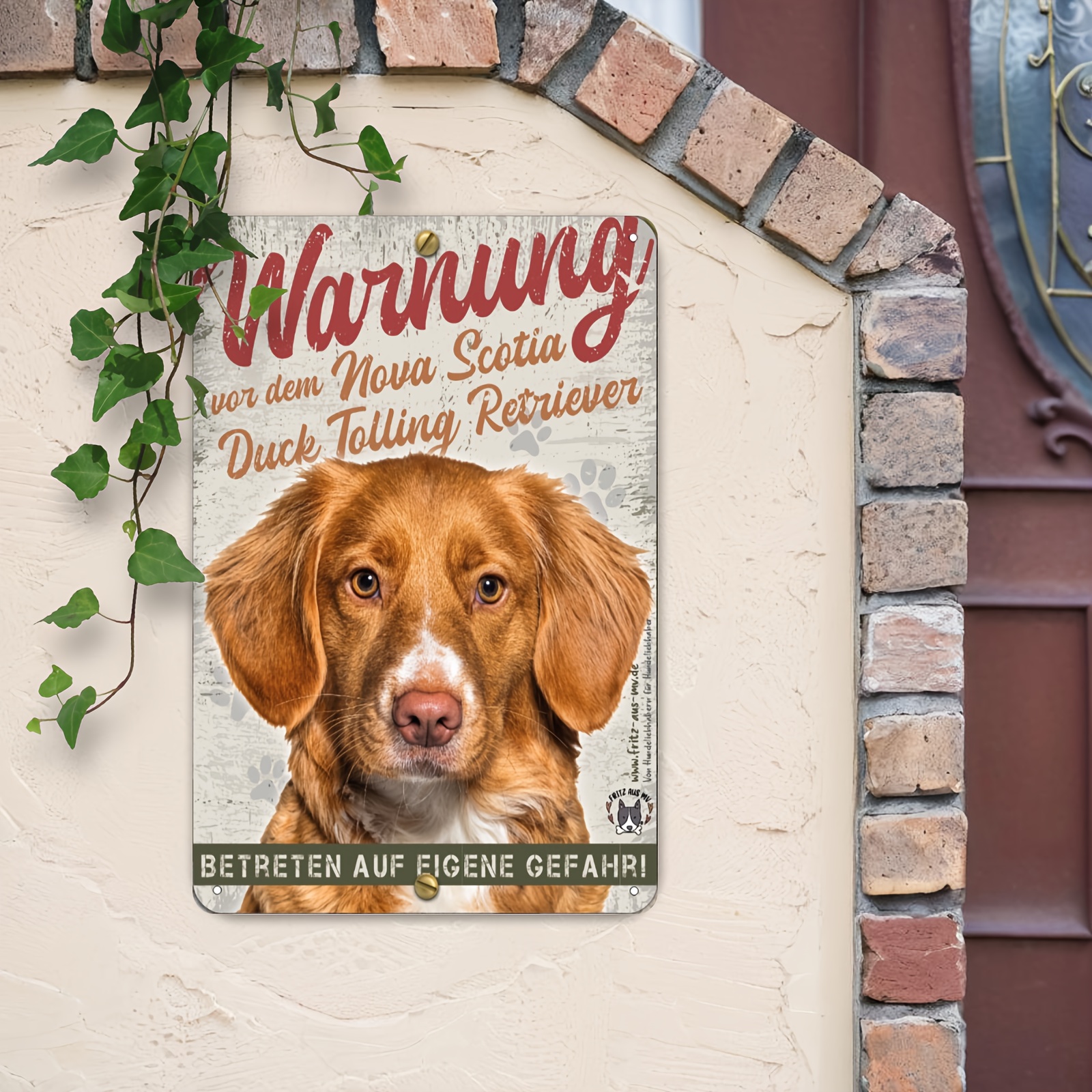 2D Flat, 1pc sign Nova Scotia  - Nova Decor & Lighting Juletrelys reseña y precio