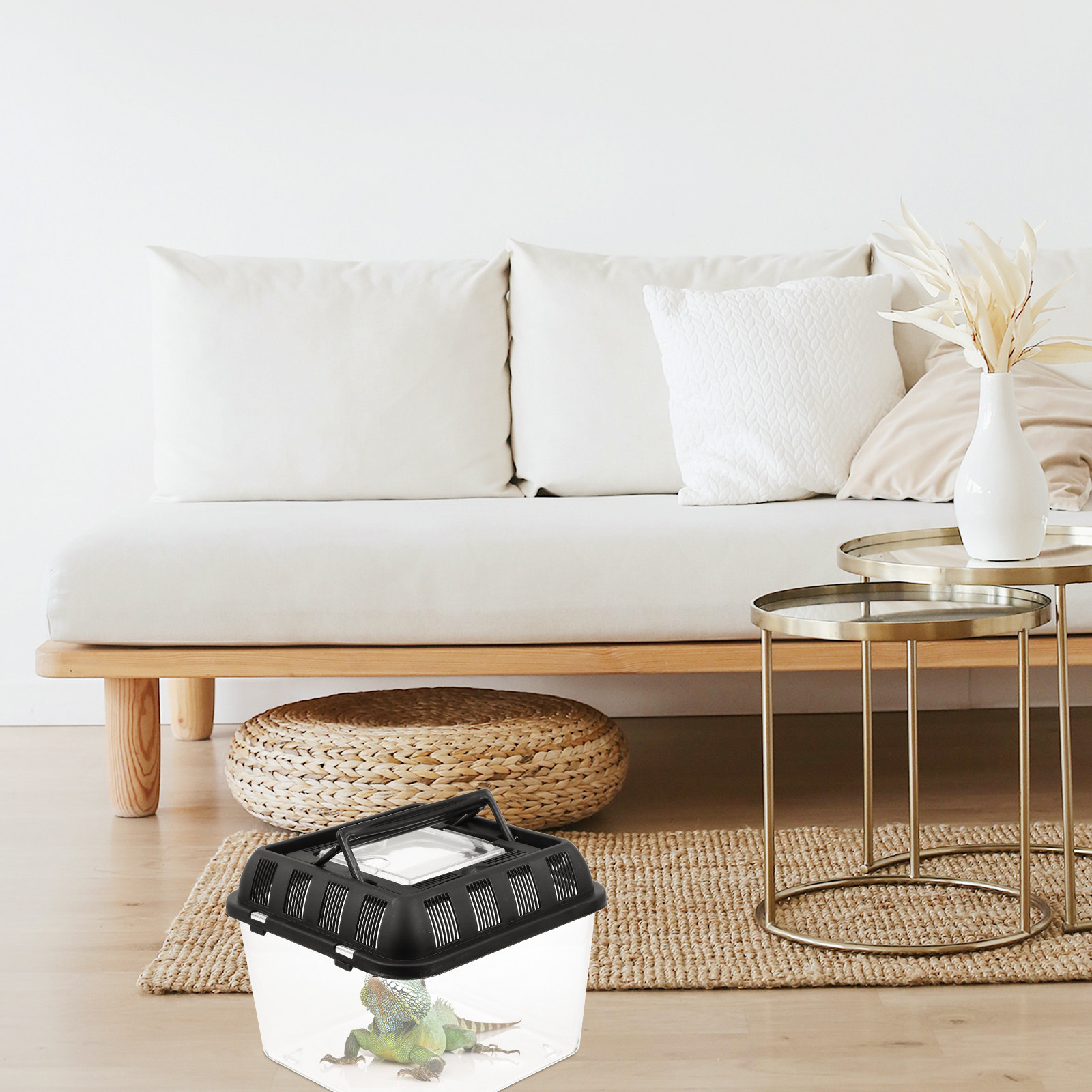 Professional Reptile Breeding  - Gecko Lighting & Decor reseña y precio