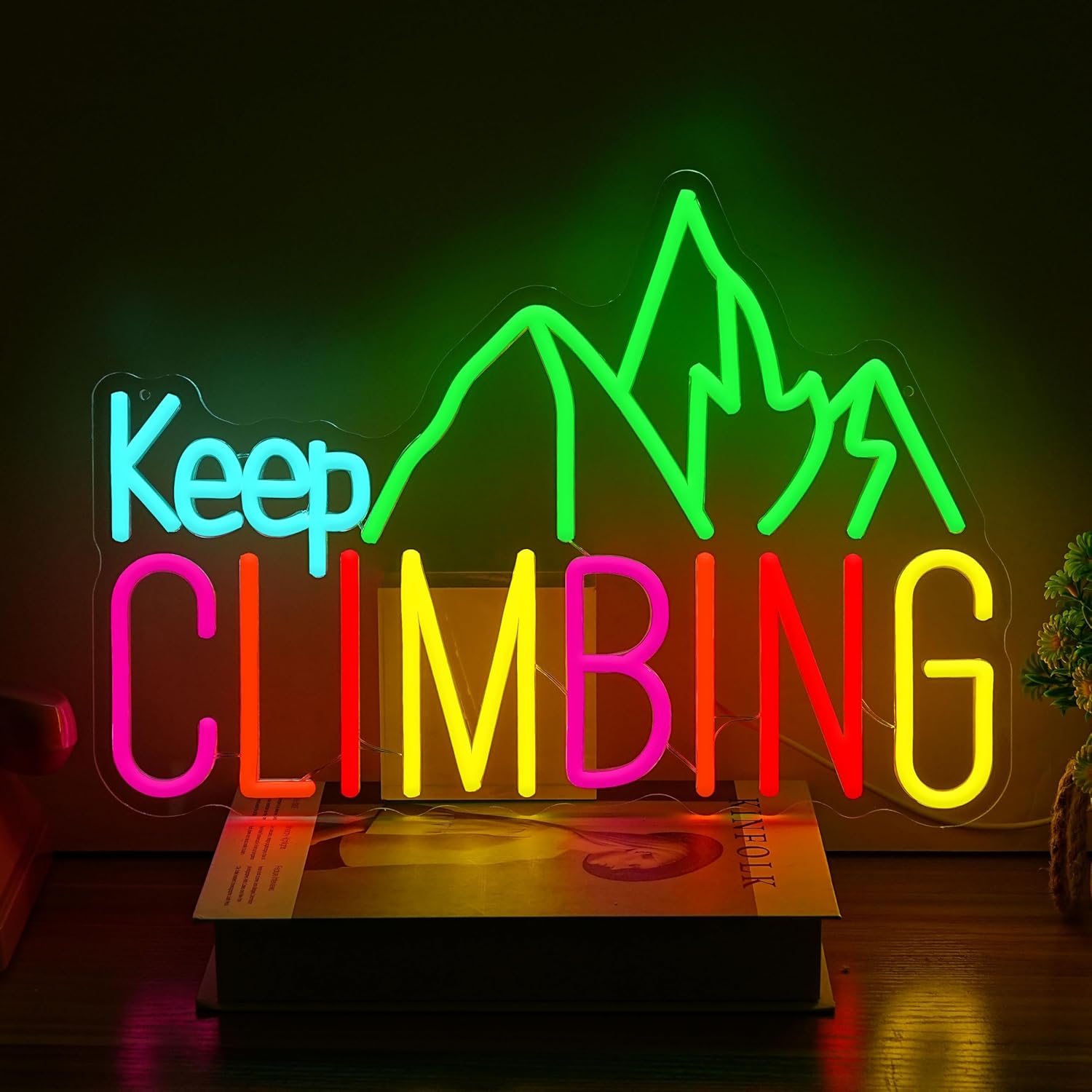 Keep Climbing Neon Sign USB Le - Garden Lighting Decor reseña y precio