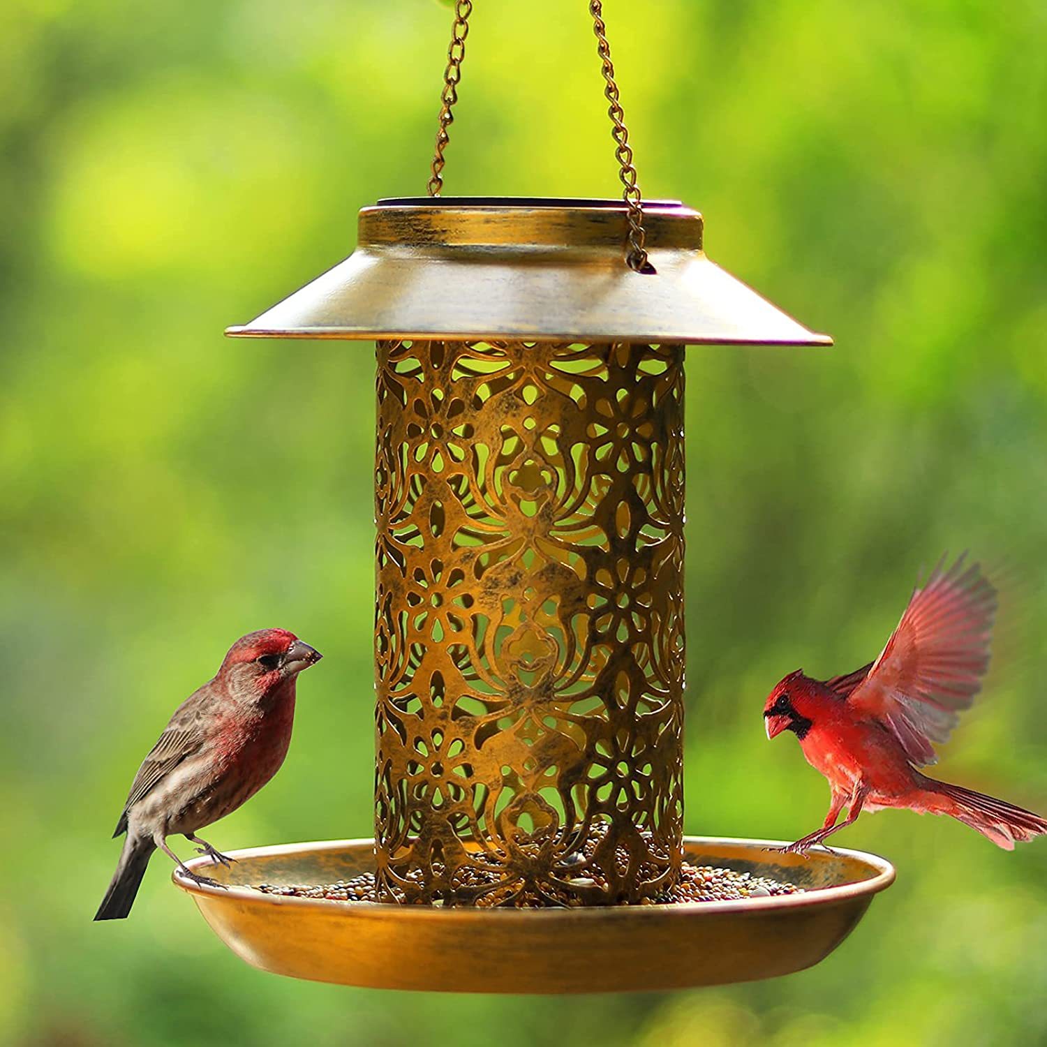 Hanging Bird House Metal Outdo - Outdoor Lighting Decor Ideas reseña y precio