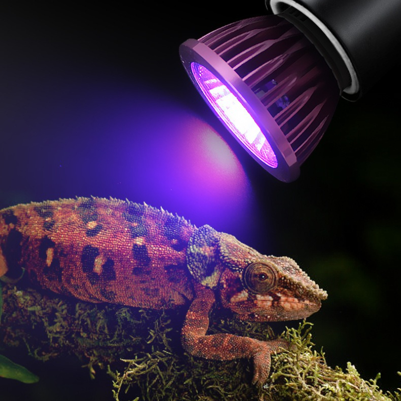 NOMOY Moonlight LED Night Ligh - Gecko Lighting & Decor reseña y precio