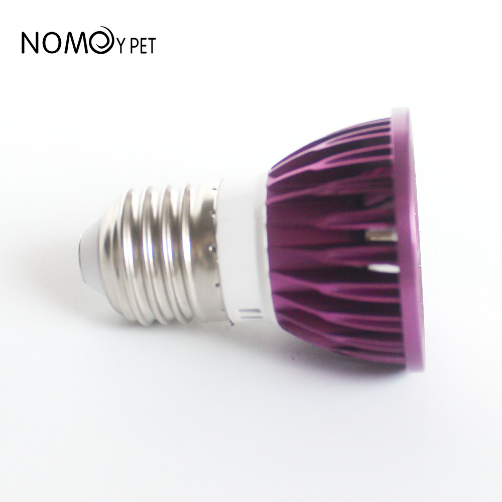 NOMOY Moonlight LED Night Ligh - Gecko Lighting & Decor reseña y precio